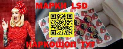 индика Будённовск