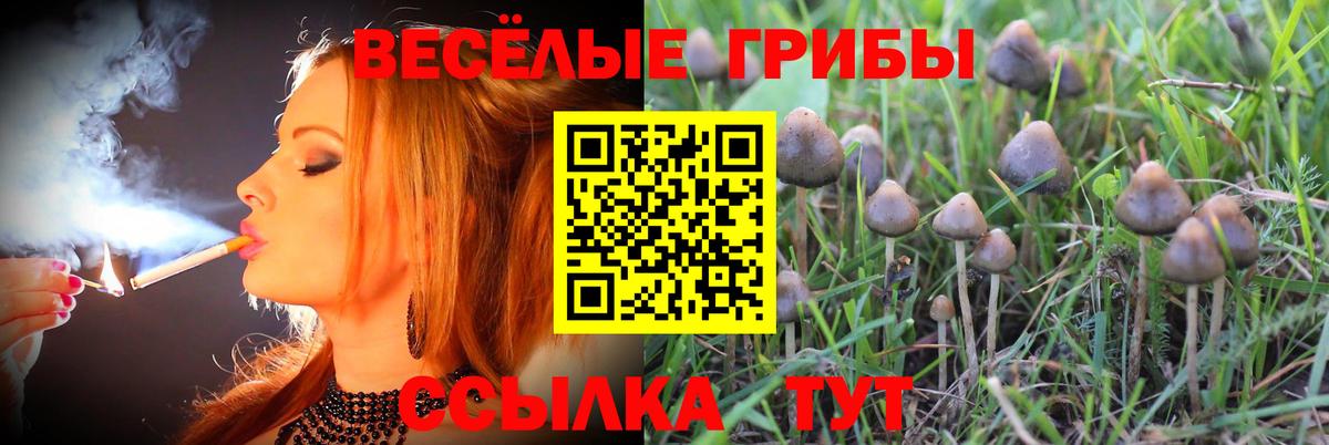 Псилоцибиновые грибы Magic Shrooms Верхняя Пышма